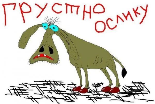 В День грустных осликов шутит Вадим Зверев: