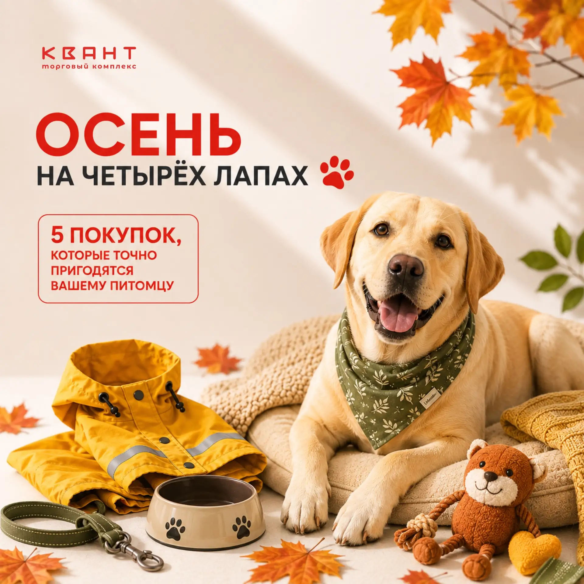 🐾5 покупок, которые пригодятся вашему питомцу этой осенью🍂