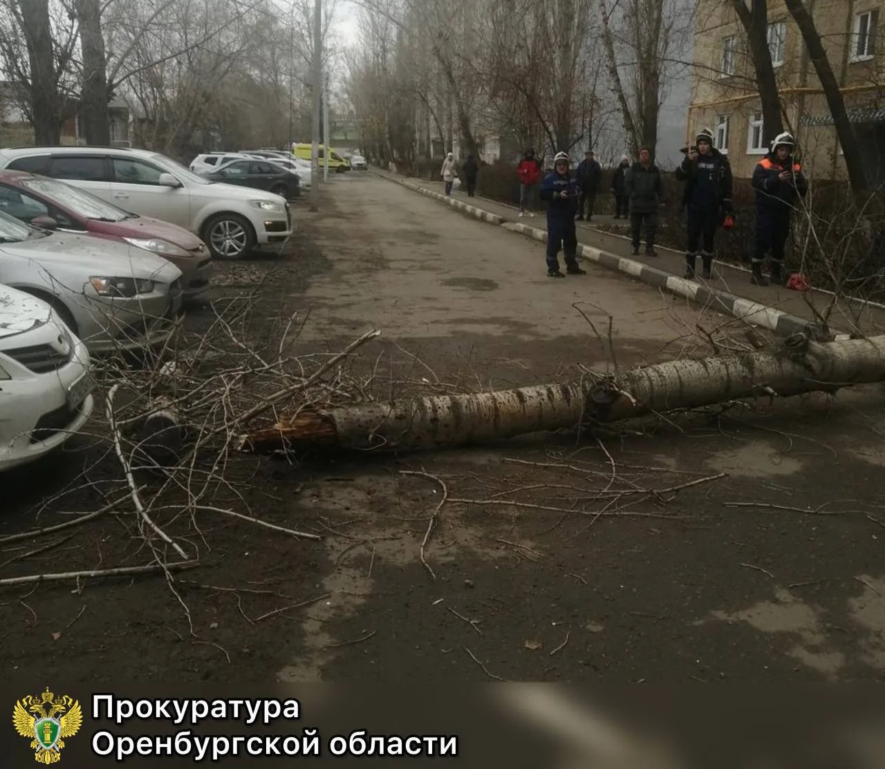 Администрация Оренбурга выплатит 12 млн рублей компенсации девушке, которой ампутировал...