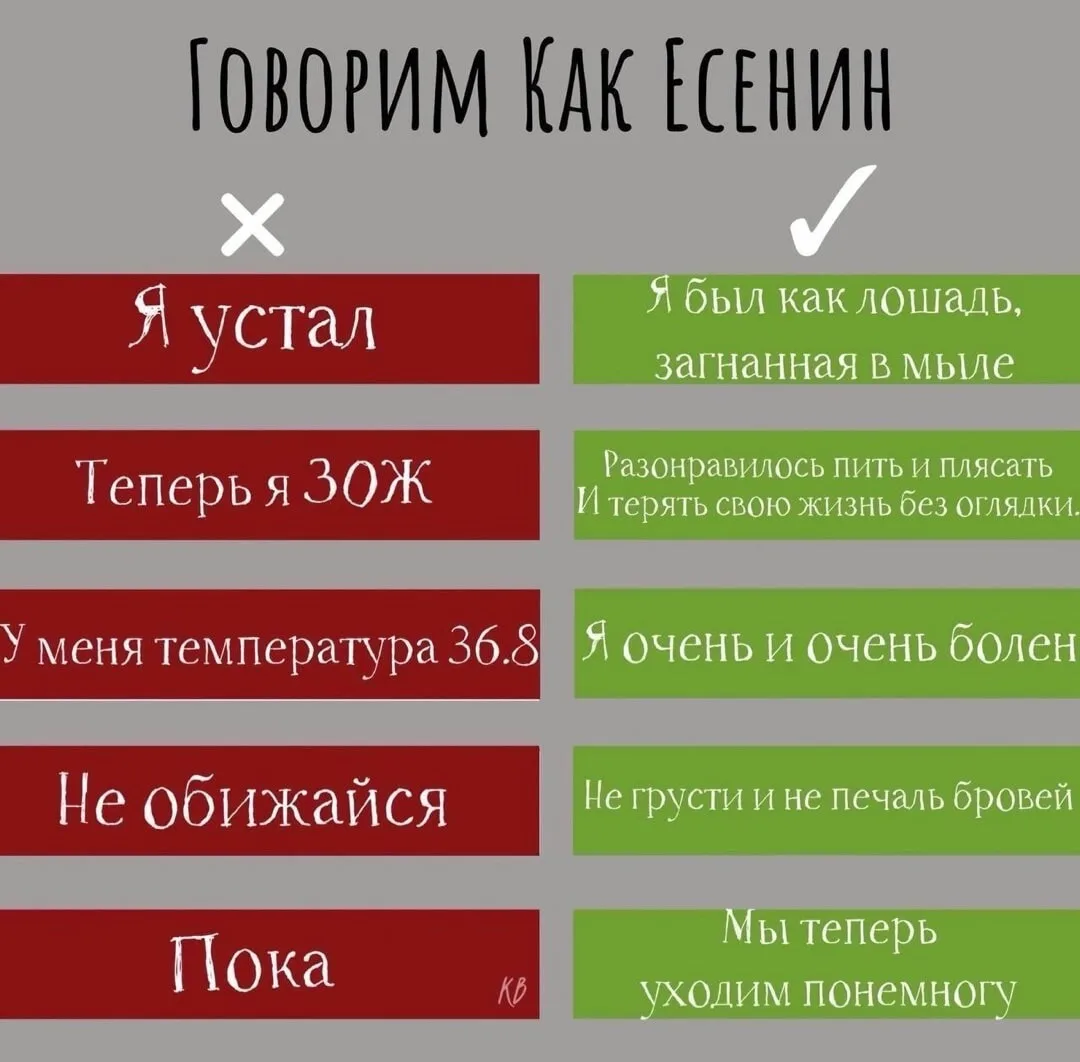 Подписывайтесь на Саваничи