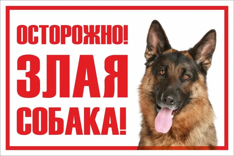 Любой из нас может столкнуться с бездомными собаками. Даже не все взрослые способны пра...