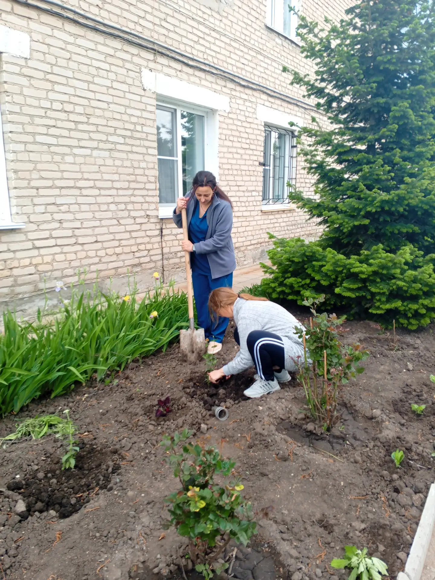 Наша территория станет ярче!