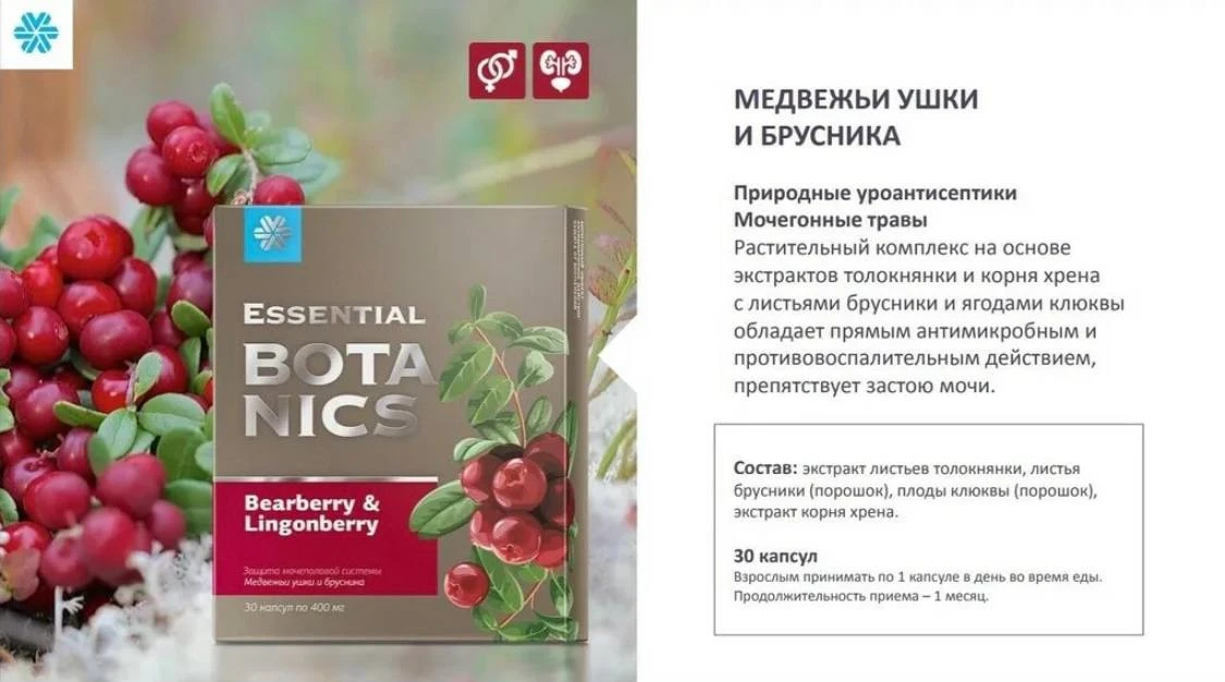 «Медвежьи ушки и брусника »