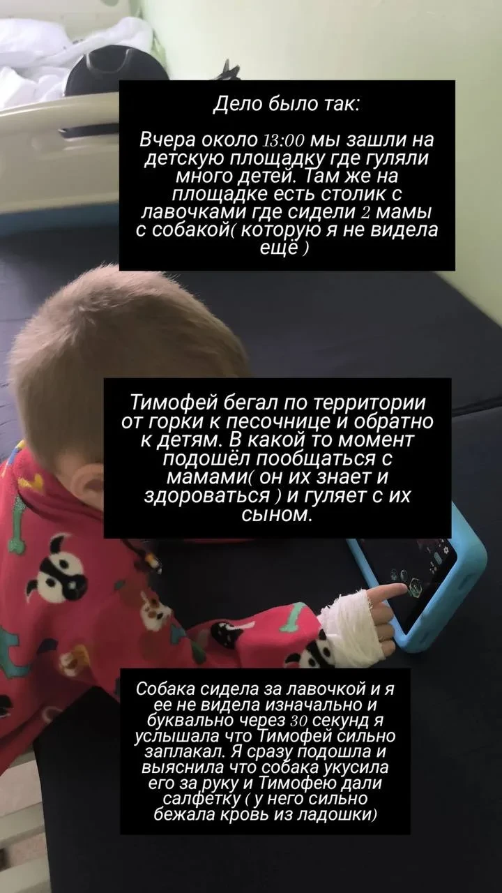 Знакомая собака вместо приветствия укусила трёхлетнего ребёнка