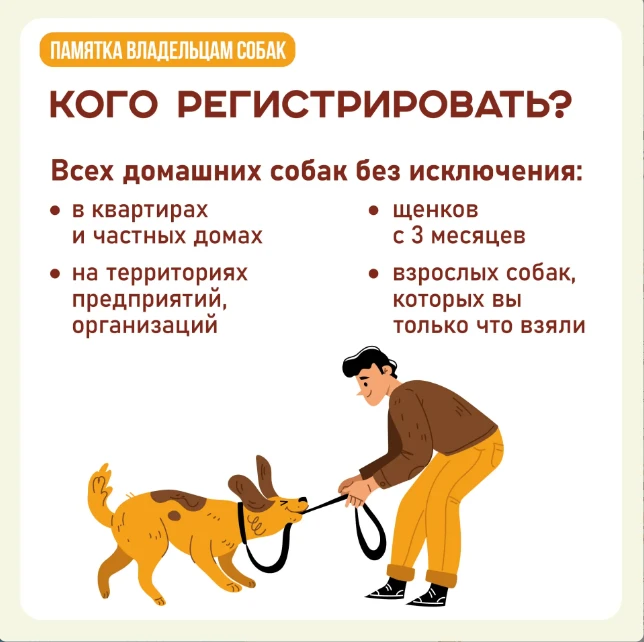 📣 А у вас дома живет собака? Тогда вам нужно ее зарегистрировать! ⁣ Процедура обязательна вне зависи