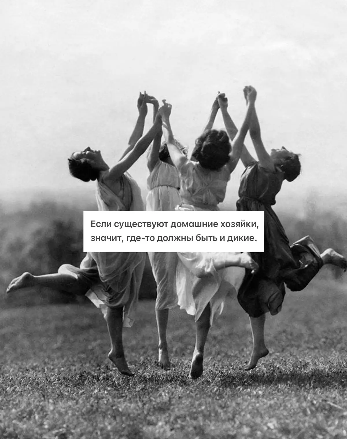 А вы какие? 🤣