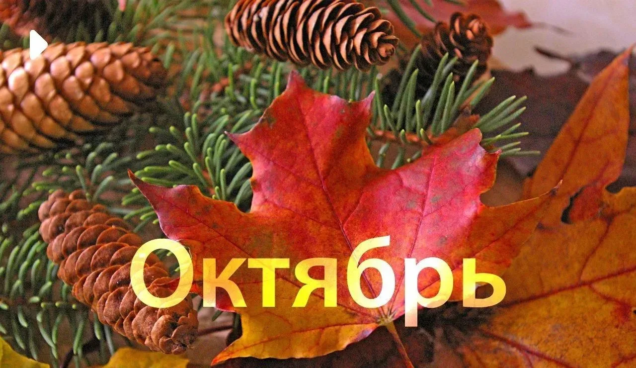 Добрый день, дорогие туристы!☀️