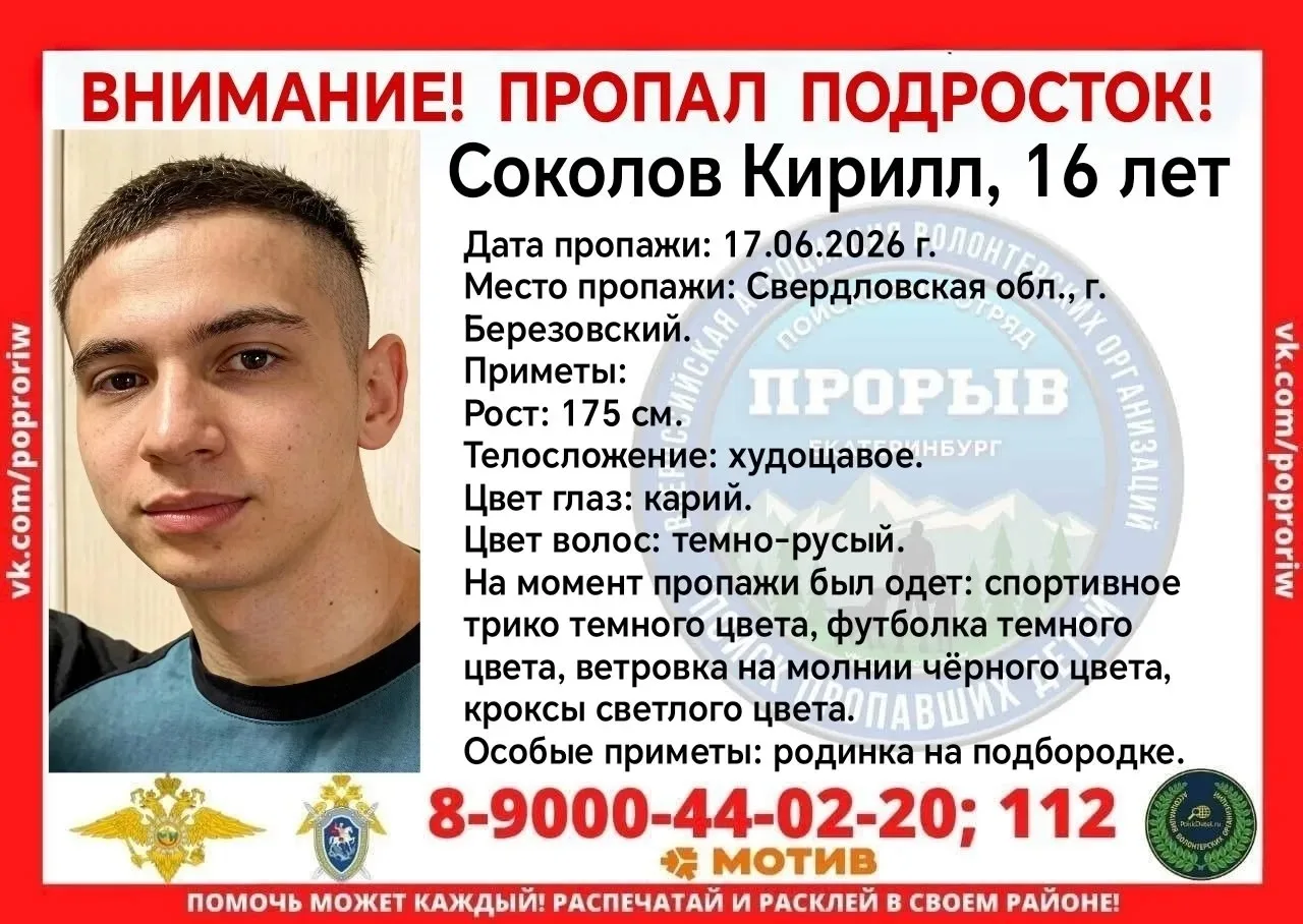 16-летний подросток с родинкой на подбородке пропал в Березовском

В Свердловской области начат поис
