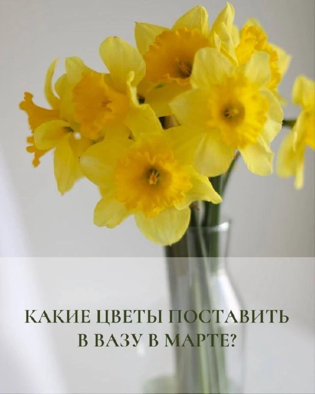 Какие цветы поставить в вазу в марте?🌸