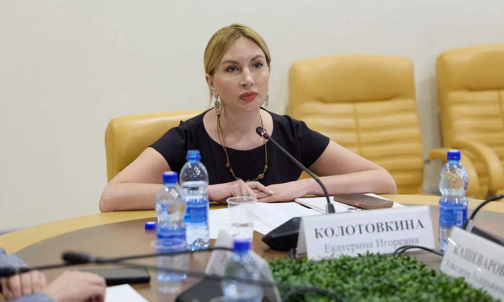 🔔 Защита авторитета государственных наград: нужны чёткие правила  В Общественной палате РФ обсудили 