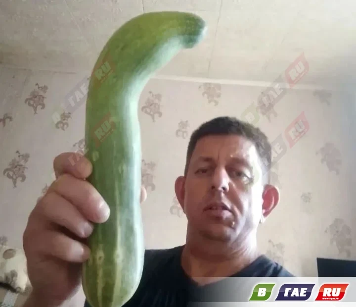 Сельчане делятся впечатляющим урожаем 🥒🎃