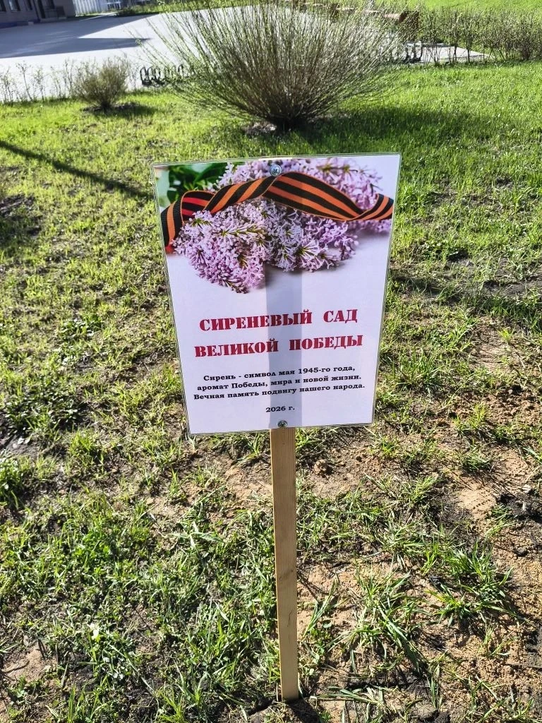 Сиреневый сад Великой Победы  Сирень давно стала одним из символов Великой Победы. Весной 1945 года 
