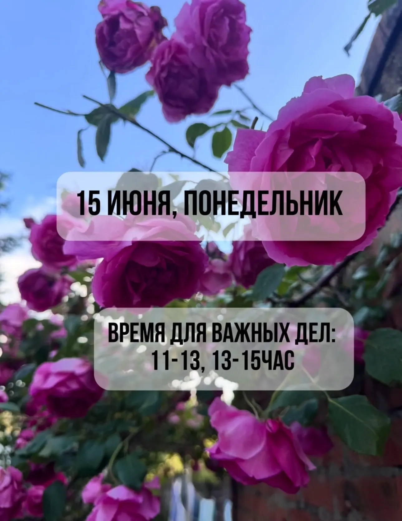 Совет дня на сегодня, понедельник 15 июня 
День сильного метала (металлическая обезьяна в деле) 
😊�