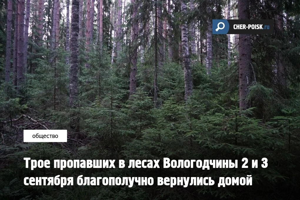Сразу троим жителям Вологодской области, потерявшимся в лесу 2 и 3 сентября, удалось бл...