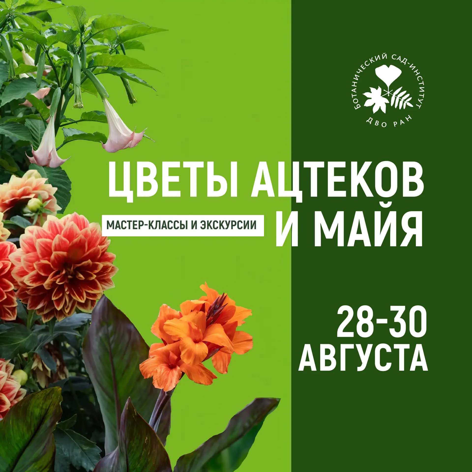 «Цветы ацтеков и майя» – дни экзотических растений в Саду