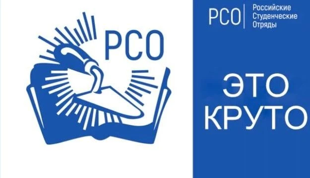 ⚡️Программа профессионального обучения вожатых
