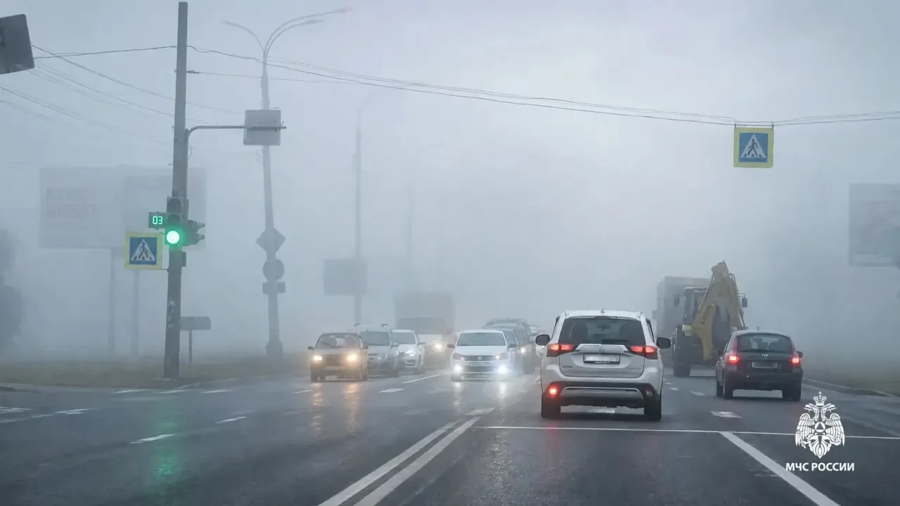 ❗️Туман! #погода