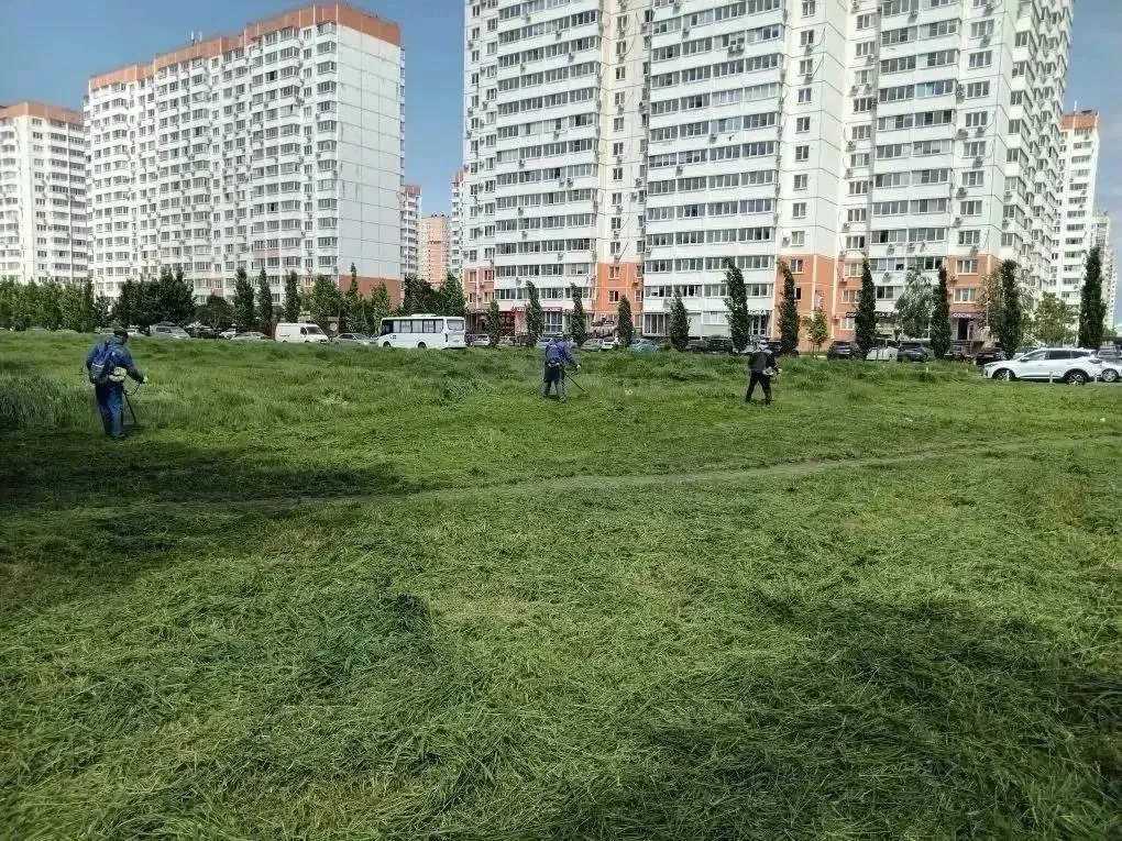 🚜 Более 6000 гектаров сорной травы скосили в Краснодаре. 

Особое внимание уделяют частному сектору