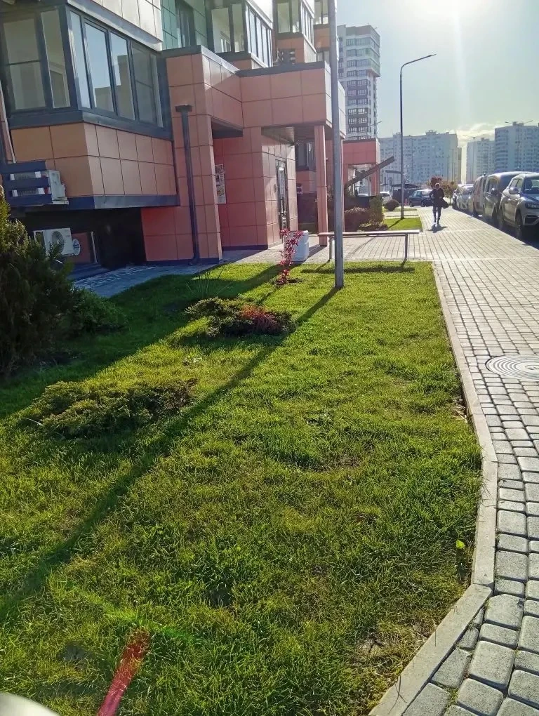 # 🌳🏡 Отчет о проведенных работах по благоустройству наших дворов!  Дорогие собственники многоквартир
