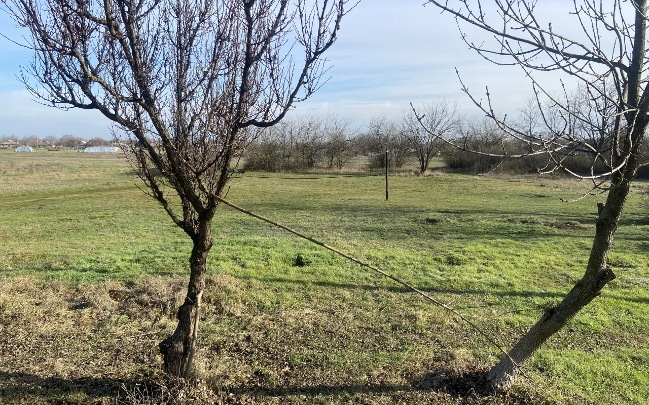 В крымском Ойфленбунге появится зона отдыха🌳🌷