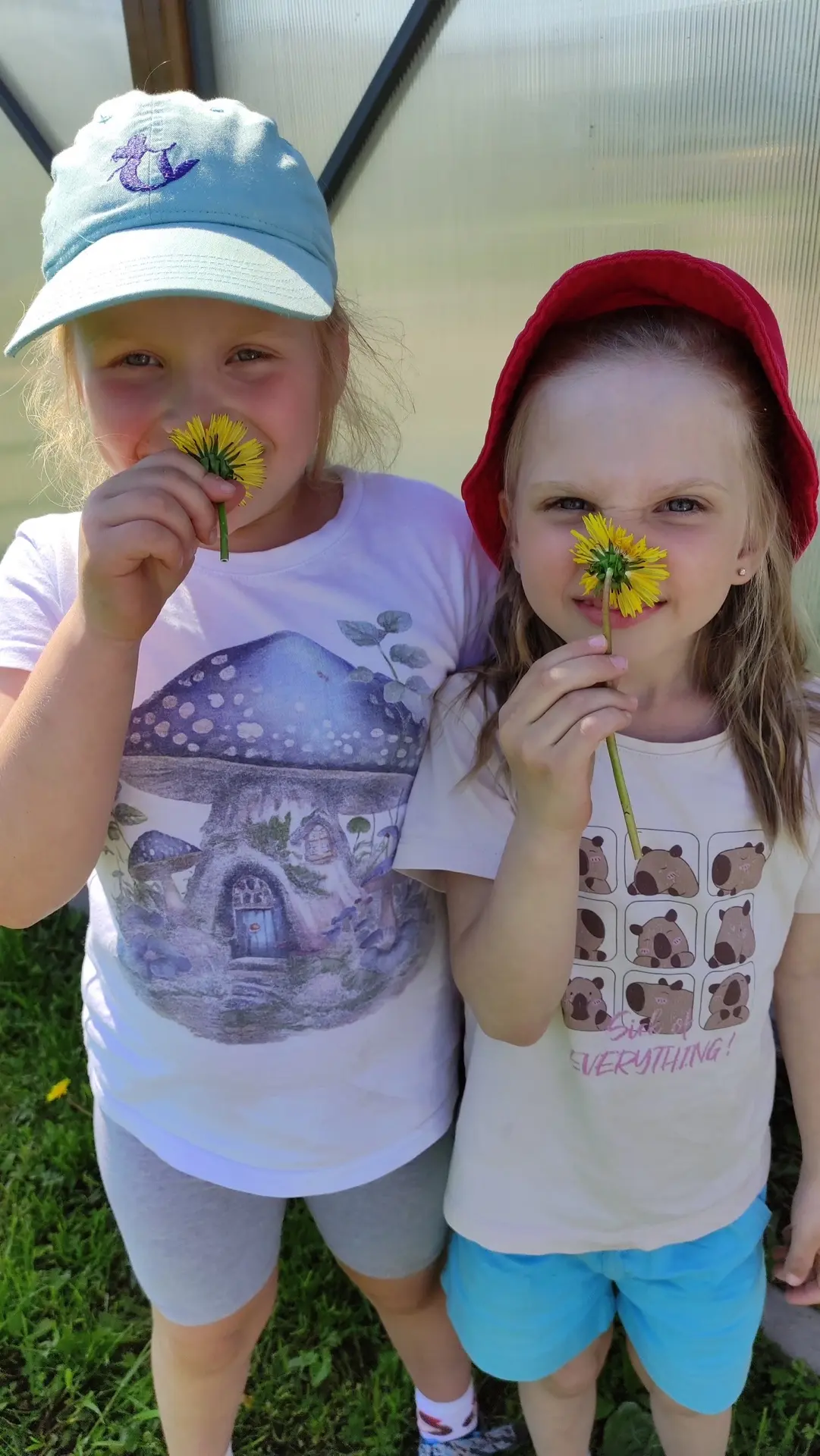 🌞Вот оно какое наше ЛЕТО!🌞 

Лето, лето, сказочное лето! 
От чудес кружится голова… 
Сколько солнц