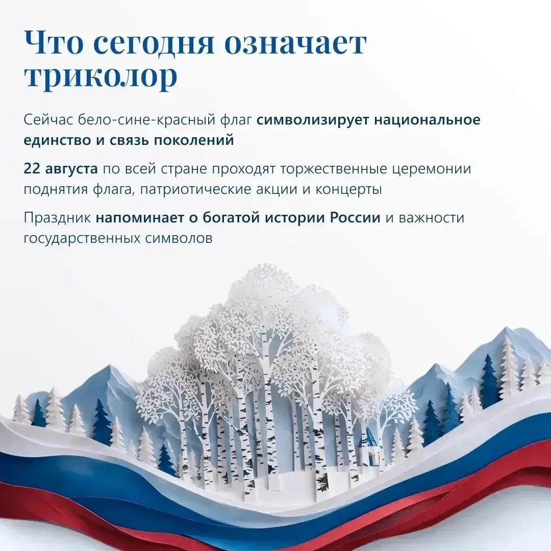 22 августа отмечается День Государственного флага. Статус триколора закреплён федераль...