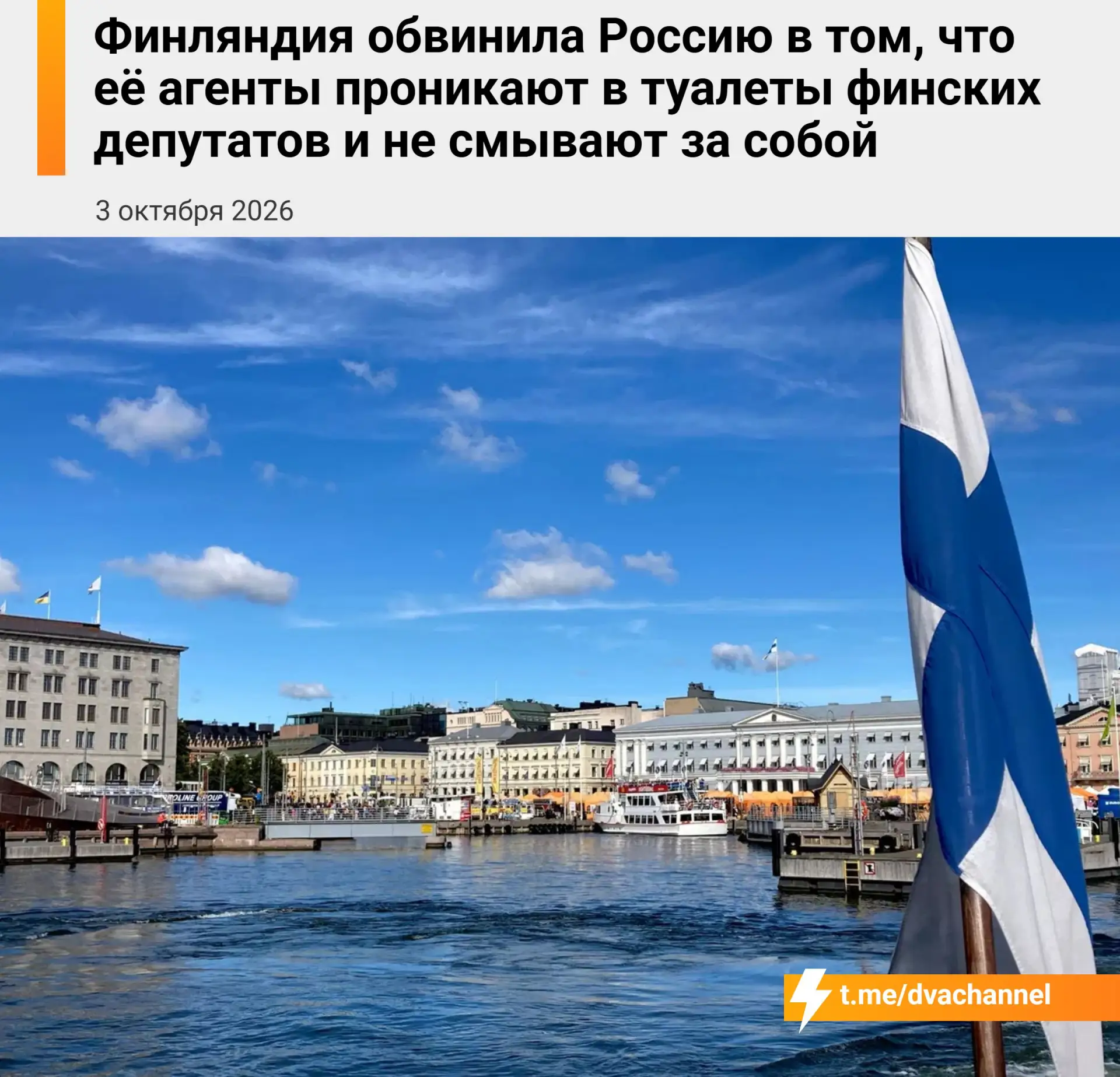 Более 20 депутатов Финляндии заподозрили «российский след» в своих несмытых туалетах