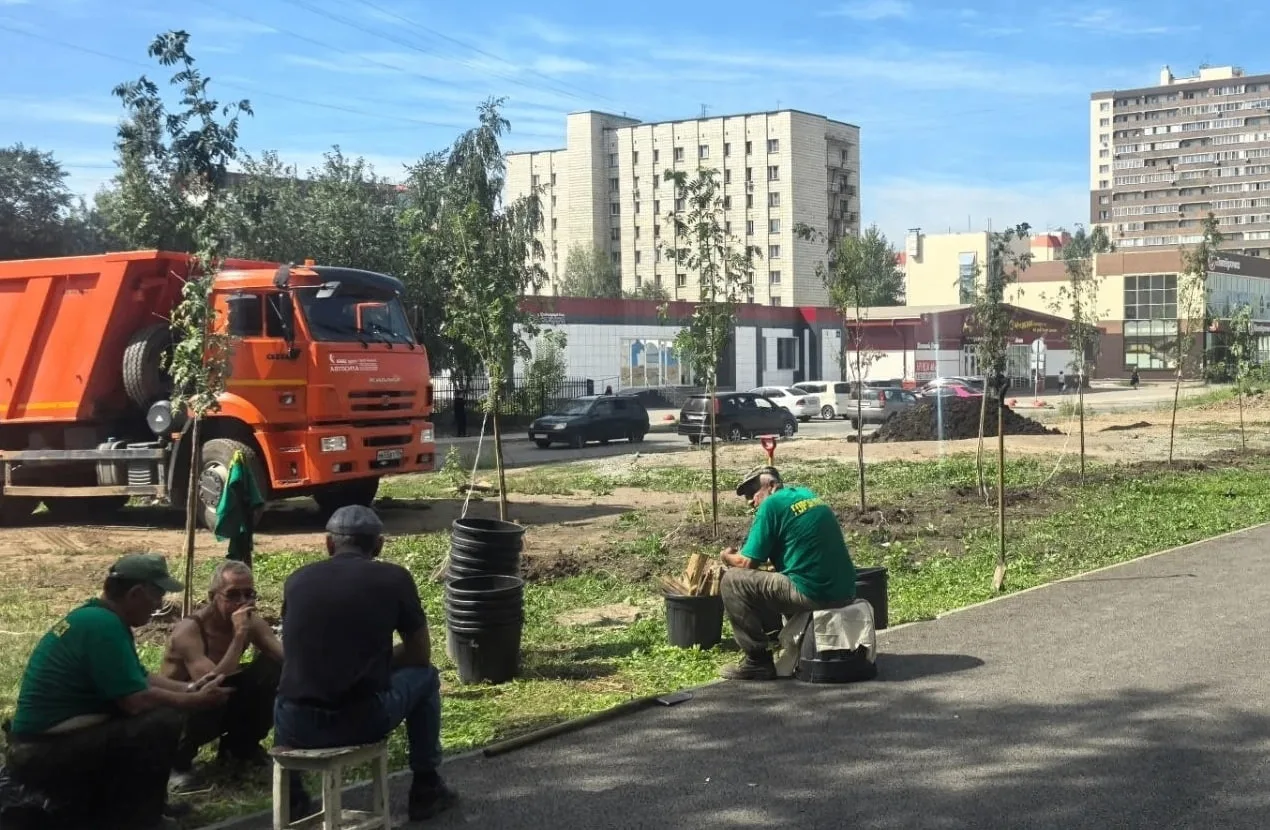 В Кировском районе начали масштабно озеленять аллею «110 летия Новосибирска» по улице П...