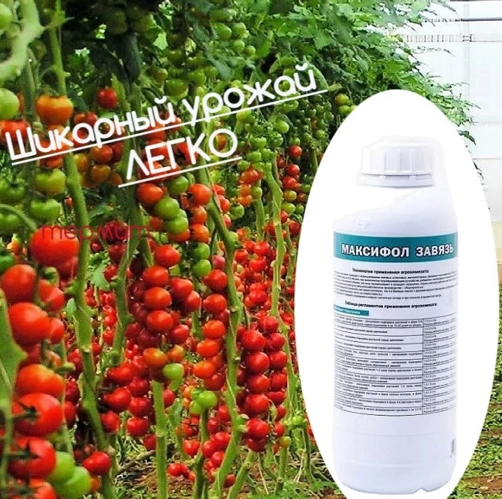Свеженький РАЗЛИЛИ!