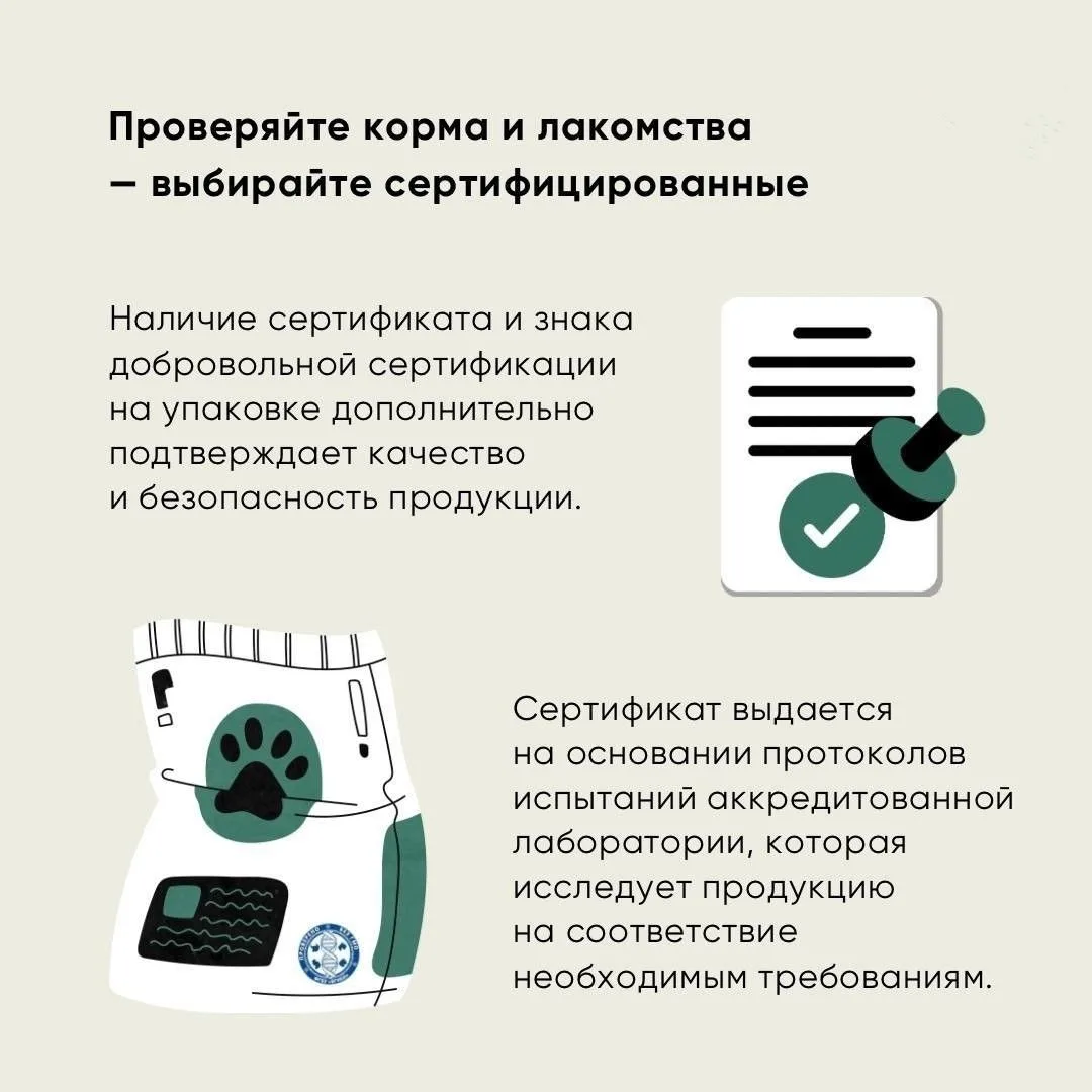 Домашние животные — это не только радость, но и большая ответственность, поэтому вот некоторые реком