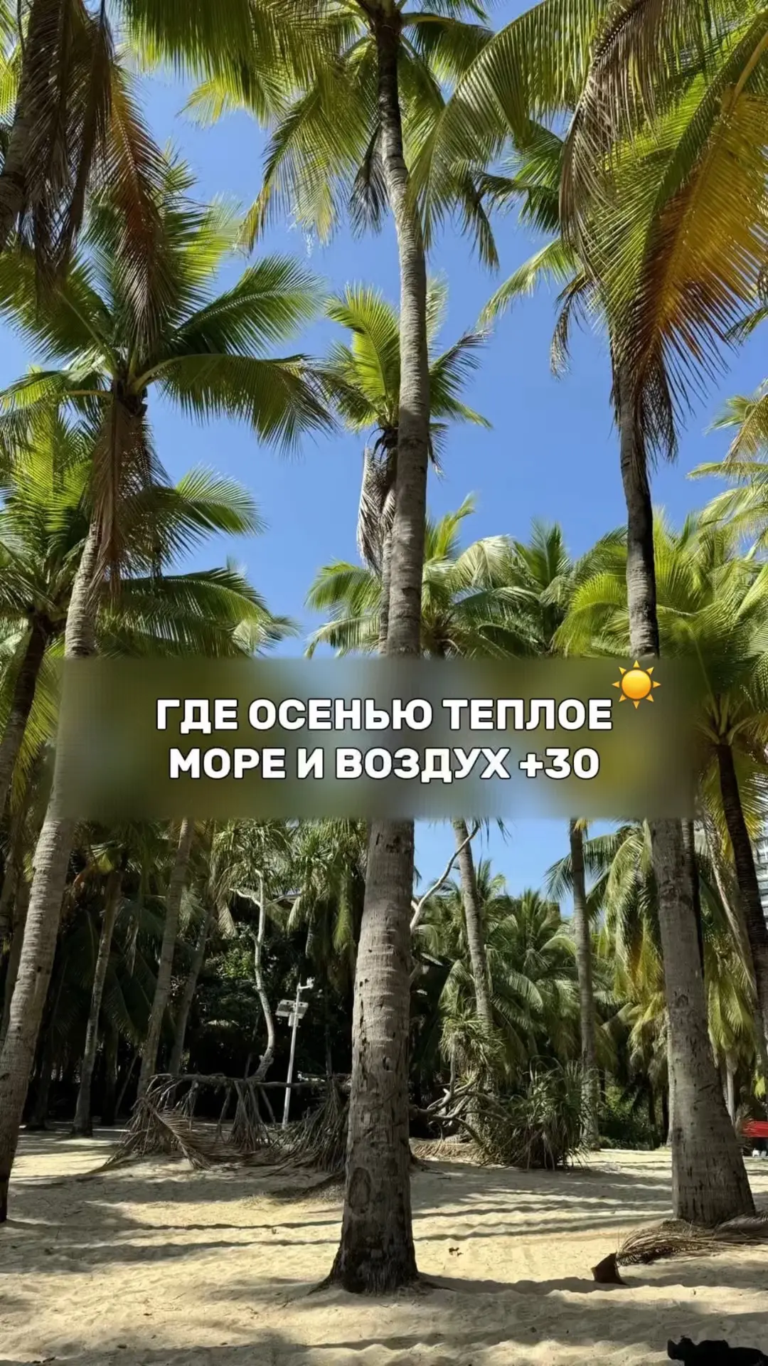 Пиши в комментариях ОСЕНЬ 🍂, и ты получишь свое заманчивое предложение!