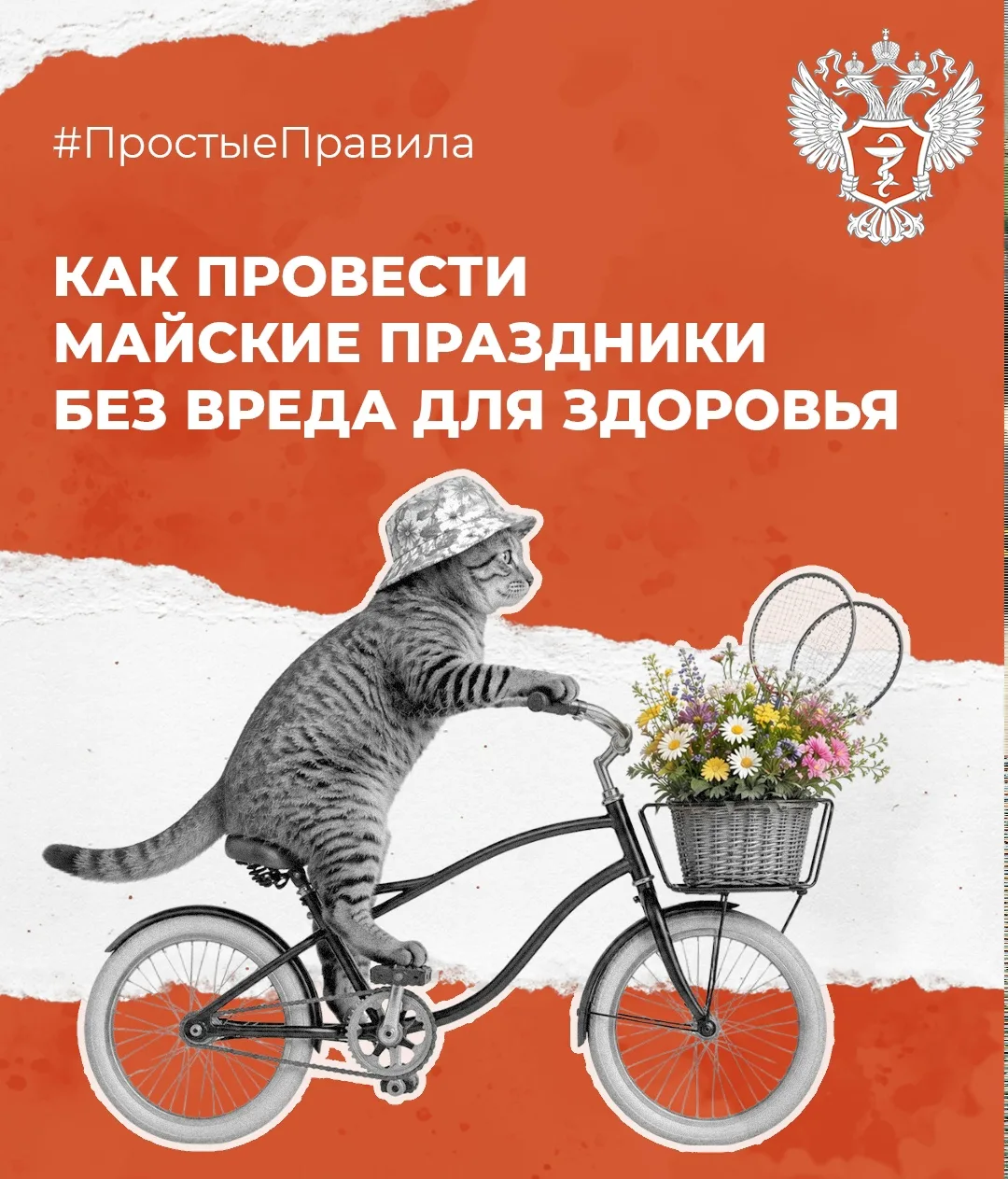 #ПростыеПравила: Минздрав России рассказал, как провести майские праздники без вреда для здоровья  М