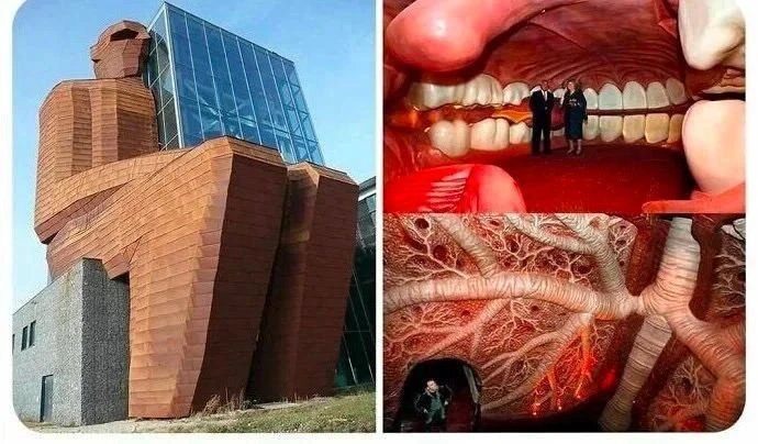 🔹 Интересные факты