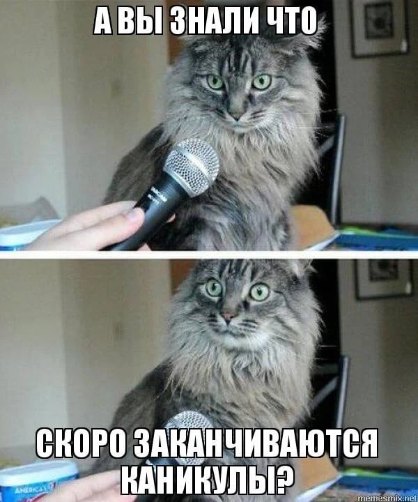 😭Каникулы, прощайте!   📚Друзья, признайтесь, кто еще не до конца осознал, что волшебное время канику