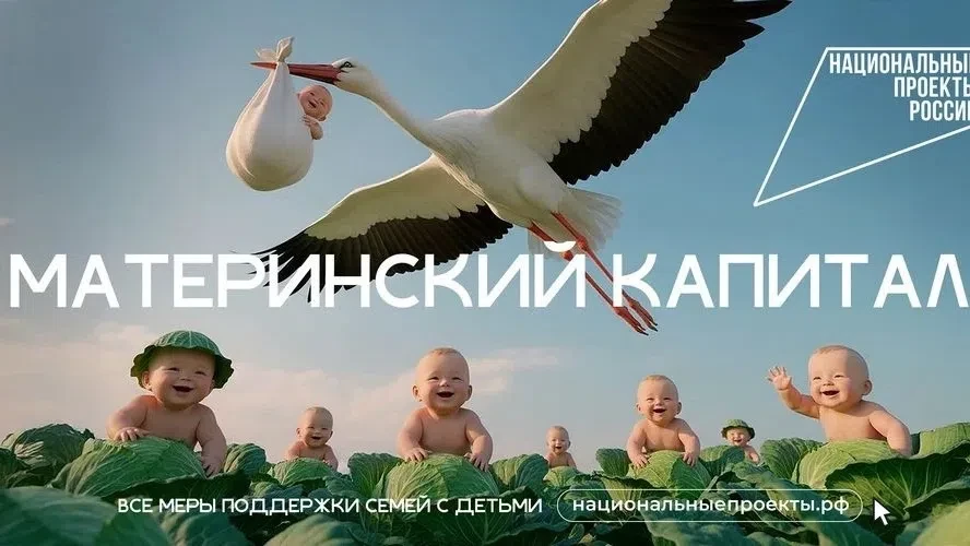 Более 1,6 млн заявлений поступило на получение новой семейной выплаты 
 
Семьи бывают разными: больш