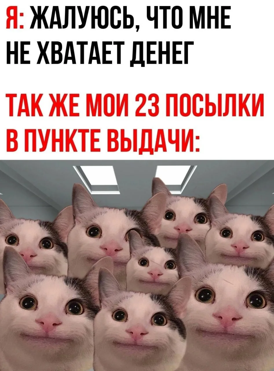 мемы / приколы / юмор / смешно