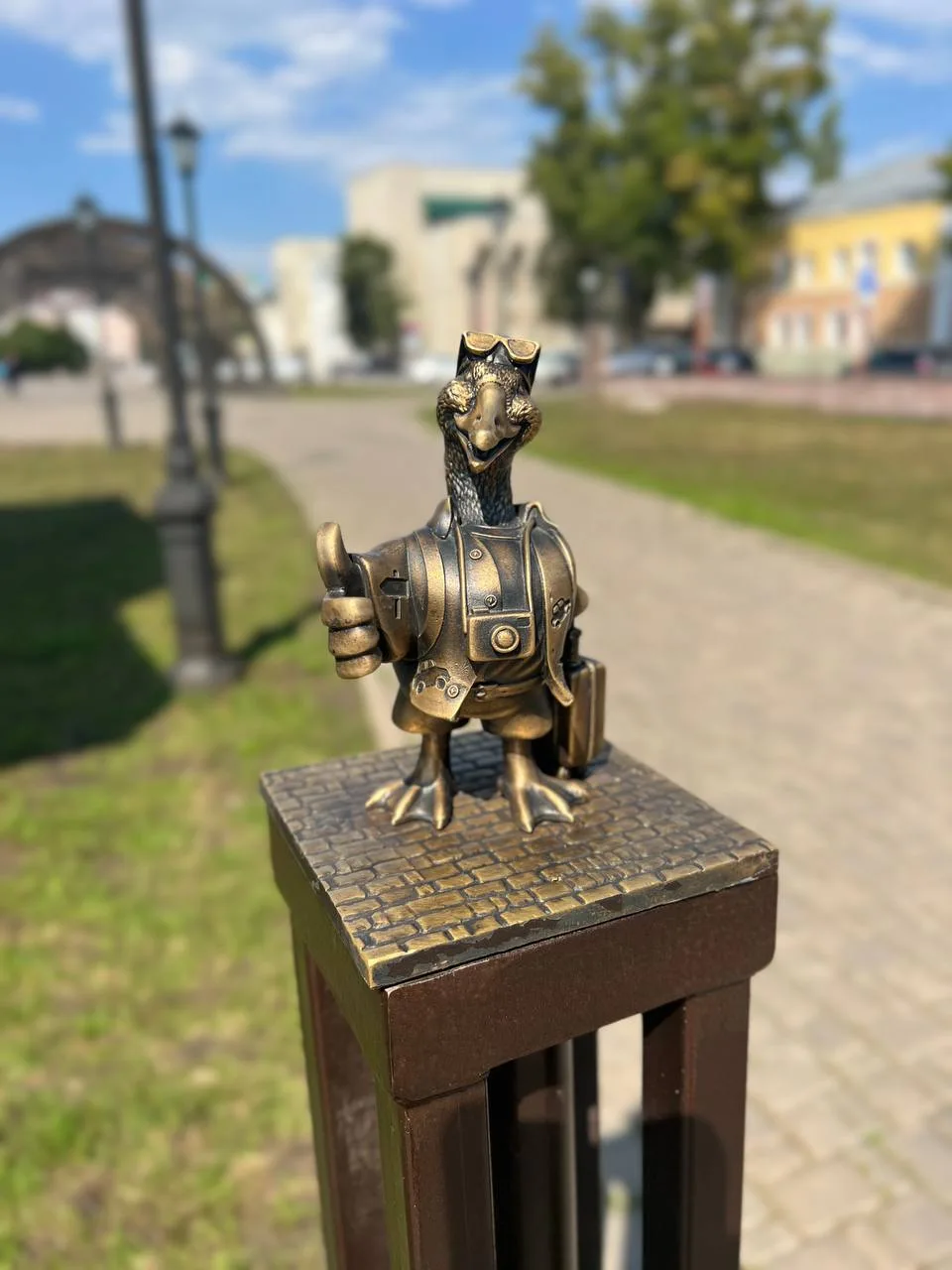🪿 В Стерлитамаке на одного гуся стало больше
