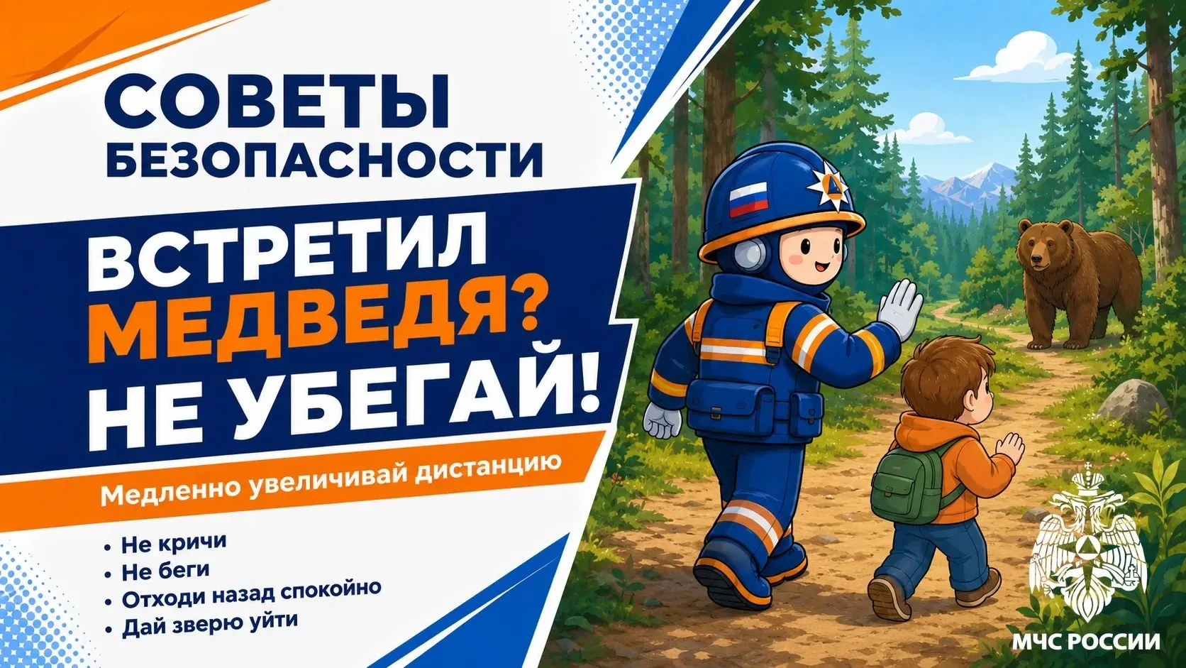 🐻 Встретил дикое животное? Главное — не паниковать