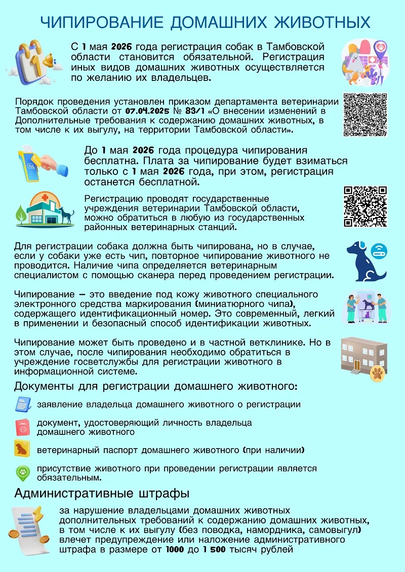 https://r53.tmbreg.ru/assets/images/0FF6BD53-800.jpg