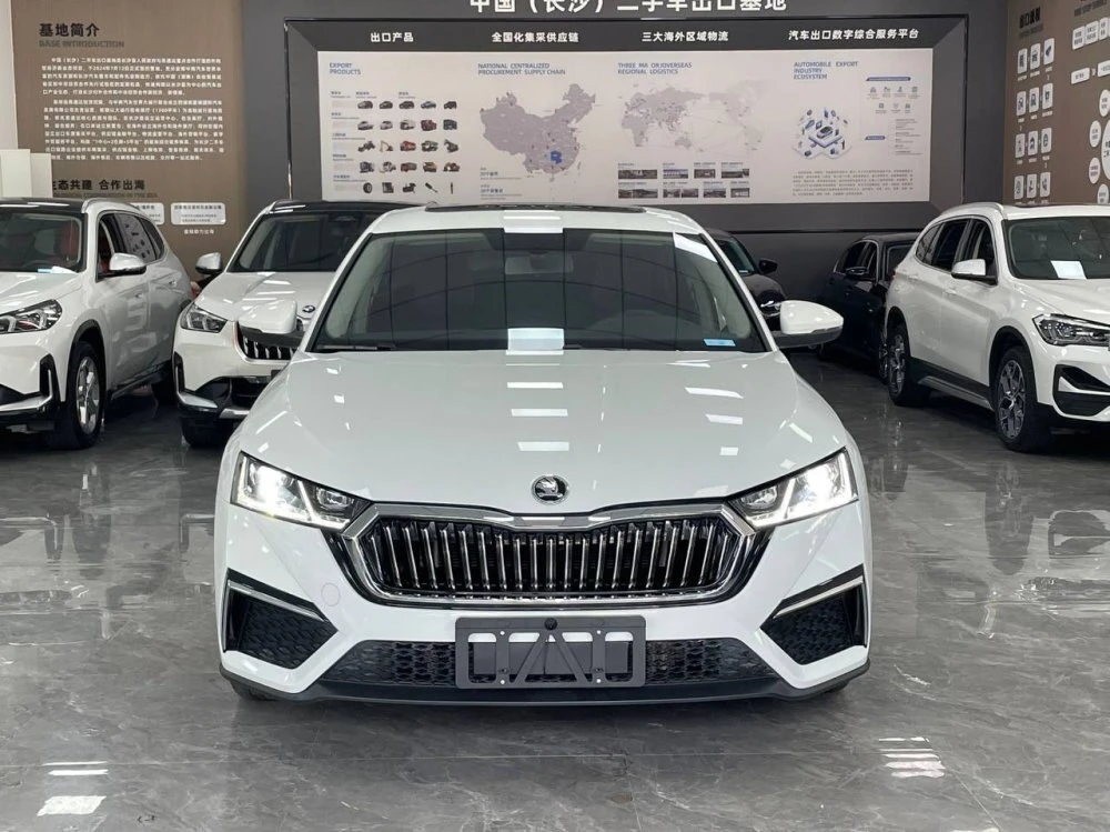 🚗 Škoda Octavia 2023

📅 Год: 2023
🛣 Пробег: 19 000 км
💰 Цена под ключ: 3 632 317 ₽

⚙️ Двигатель