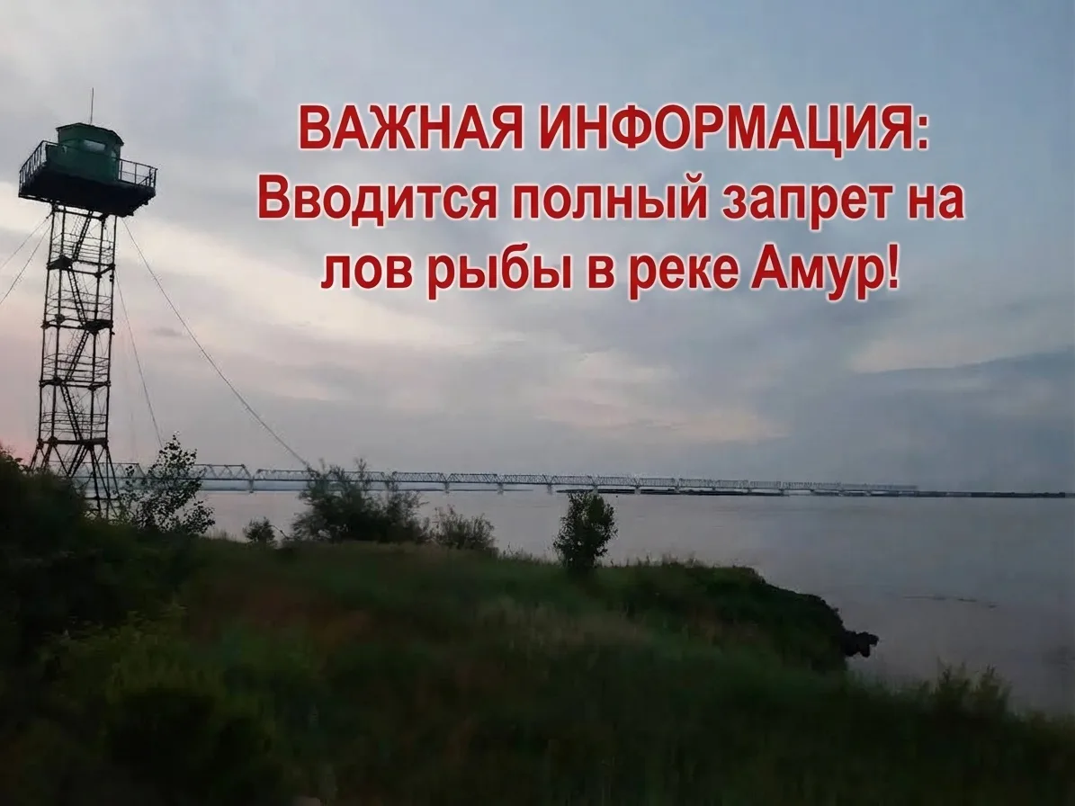 🚫 ВАЖНАЯ ИНФОРМАЦИЯ: Вводится полный запрет на лов рыбы в реке Амур!