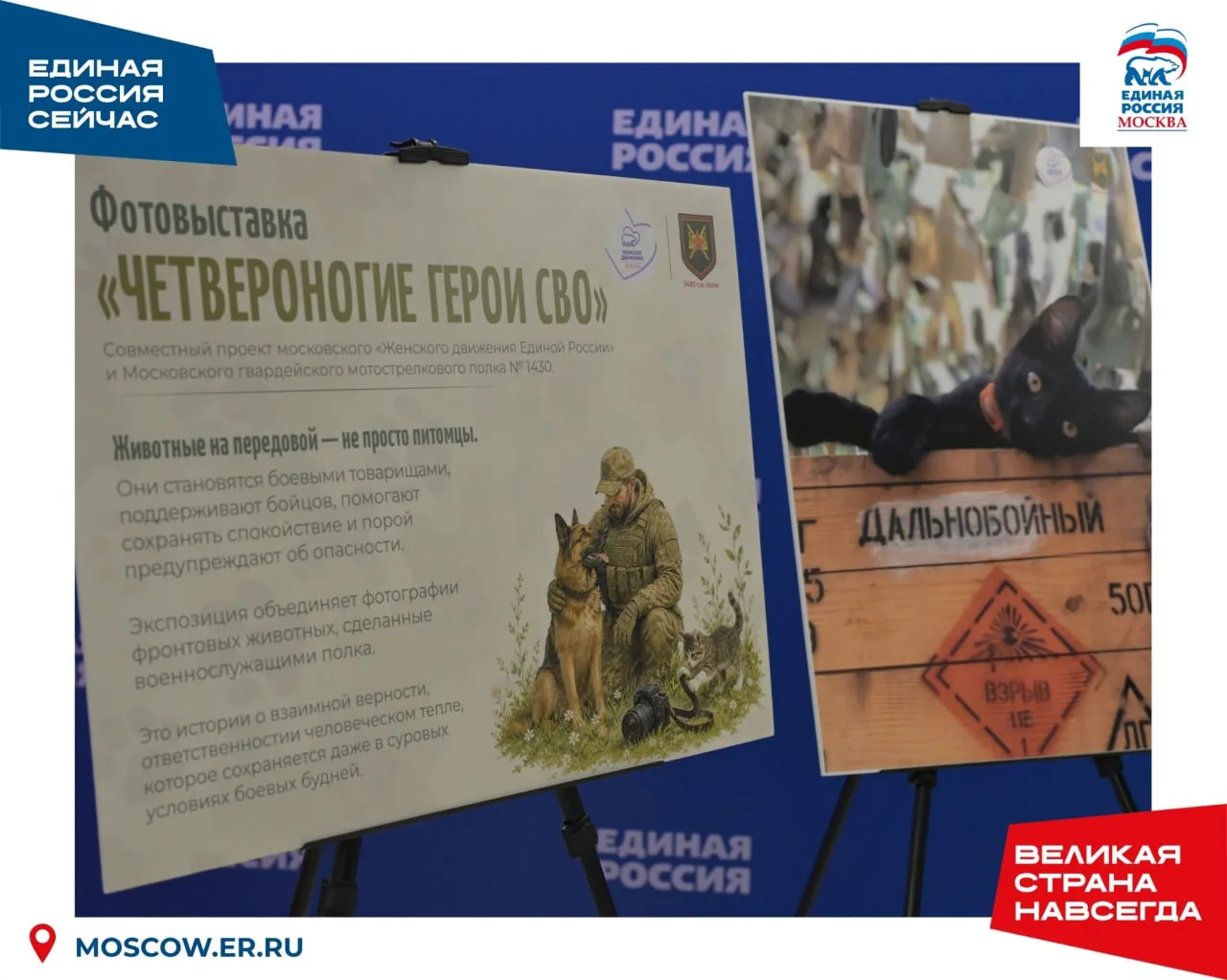В Москве прошла открытая встреча «Ответственное отношение к животным».