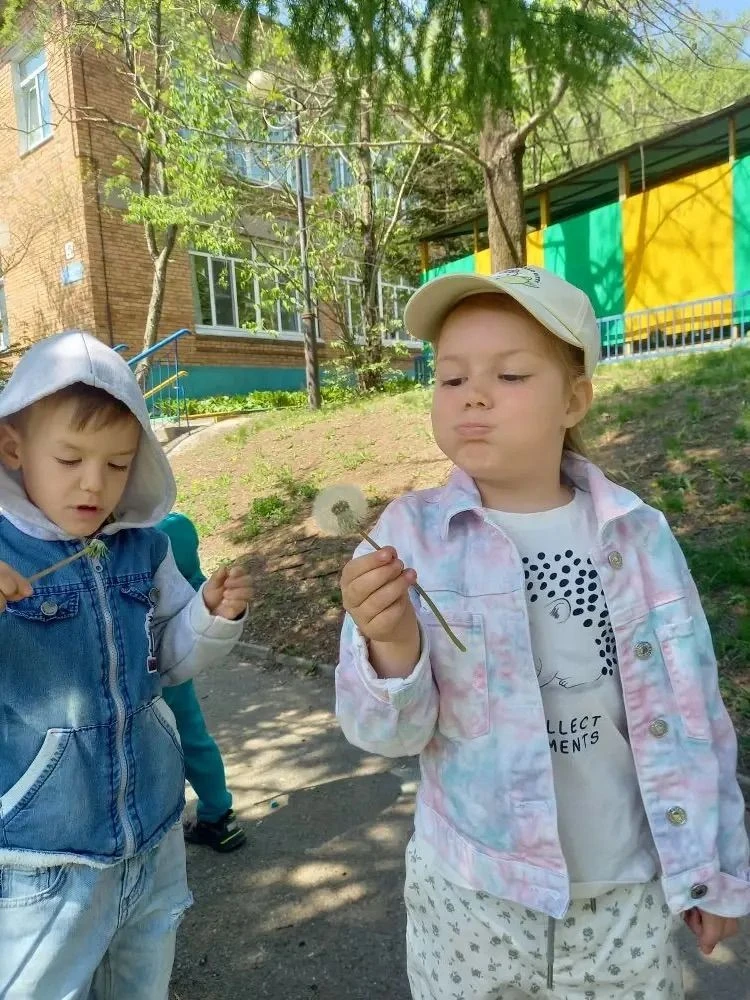 Праздник Солнечного Цветка ☀️.