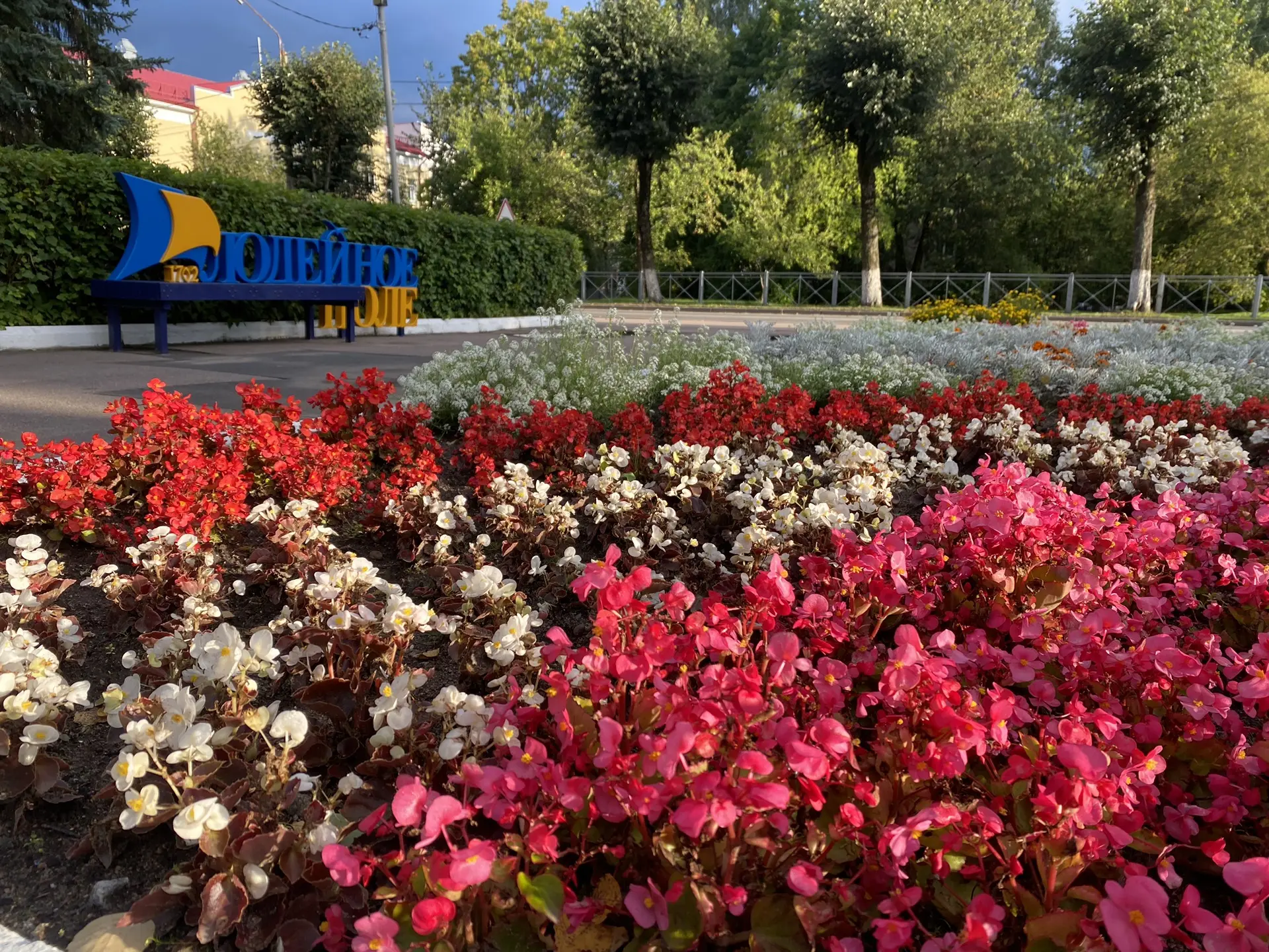 🌅Теплый вечер в августе - редкий в череде последних дождливых недель лета.