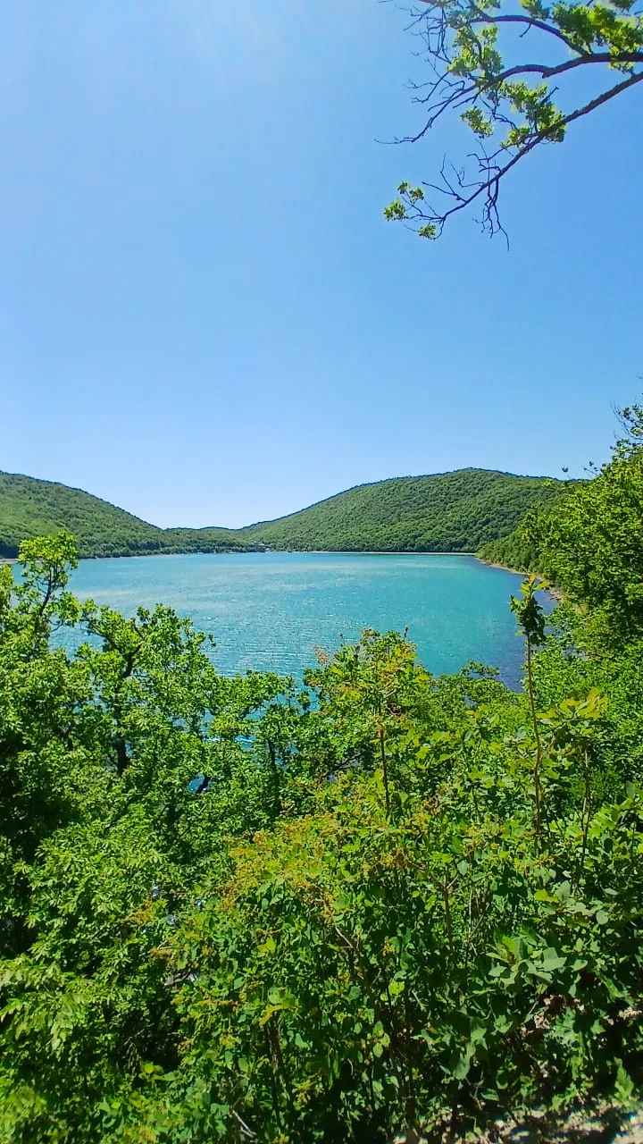 🌤️ Новороссийск, гармония "Абрау" и "Домик Йоги"

🐬  Уникальная программа- конструктор для всех. В