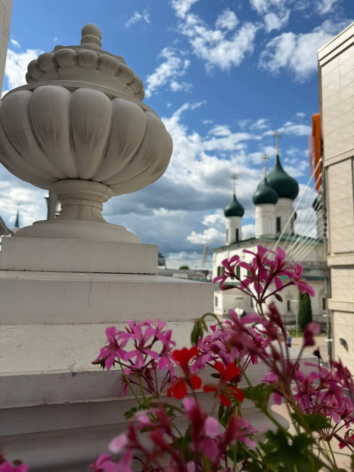 Хорошего дня! 🌸