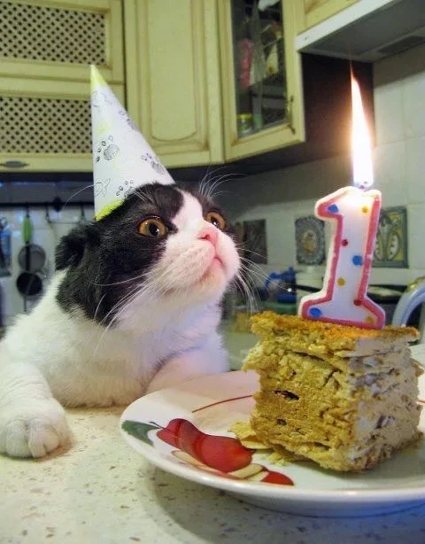 🎉 ДЕВОЧКИ, У НАС ПРАЗДНИК!

22 числа — год нашей студии! 🥳

Ровно год назад я открыла «Девочки, на