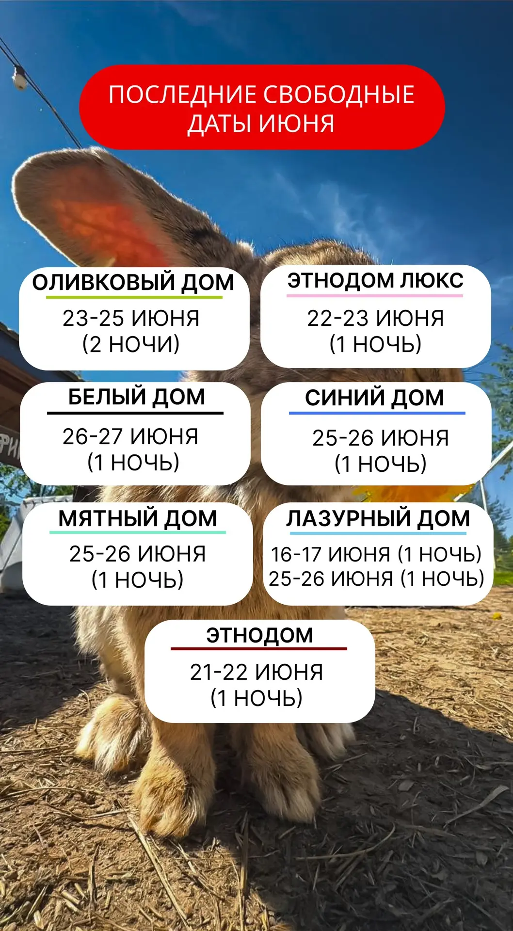ВСЕ ДАТЫ ИЮНЯ❗️

Первый месяц лета — долгожданный отдых, тепло и безграничное наслаждение красками п