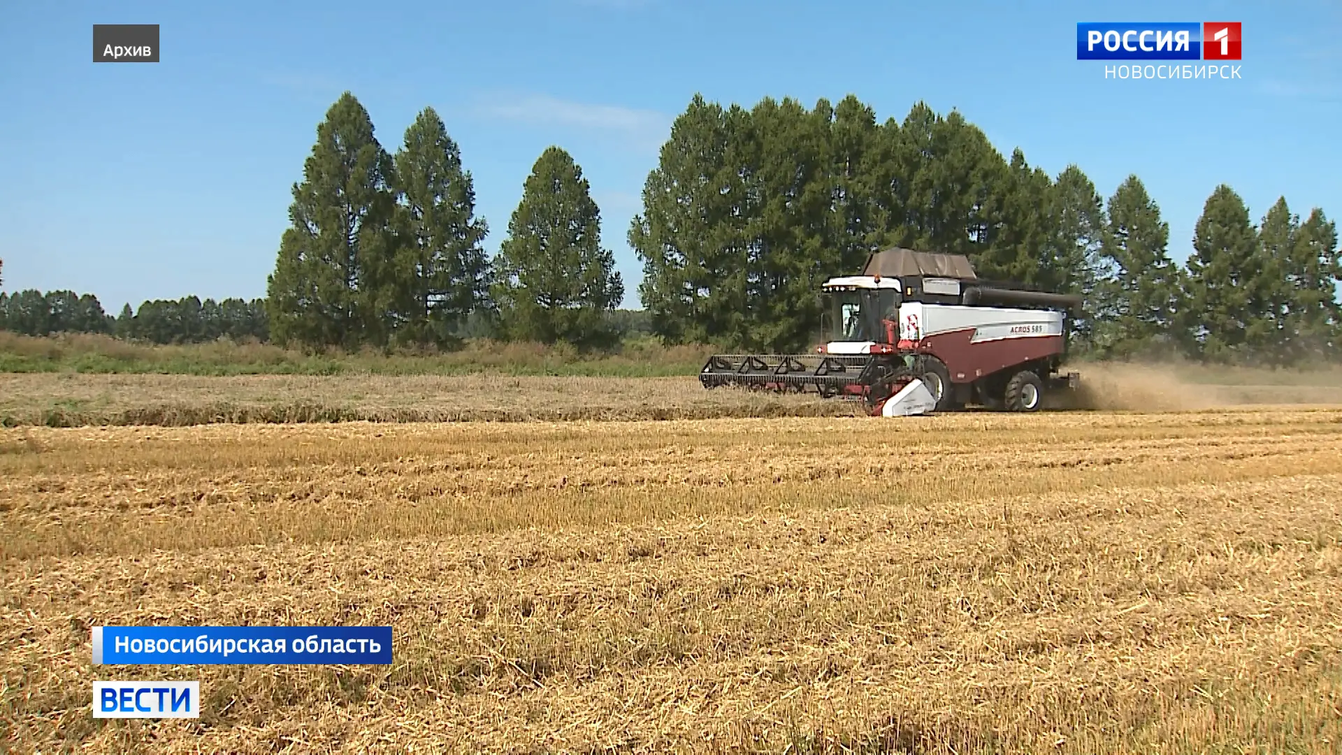 🚜 Комбайны в поле

В Новосибирской области началась уборка зерновых и зернобобовых культур. 

Первы