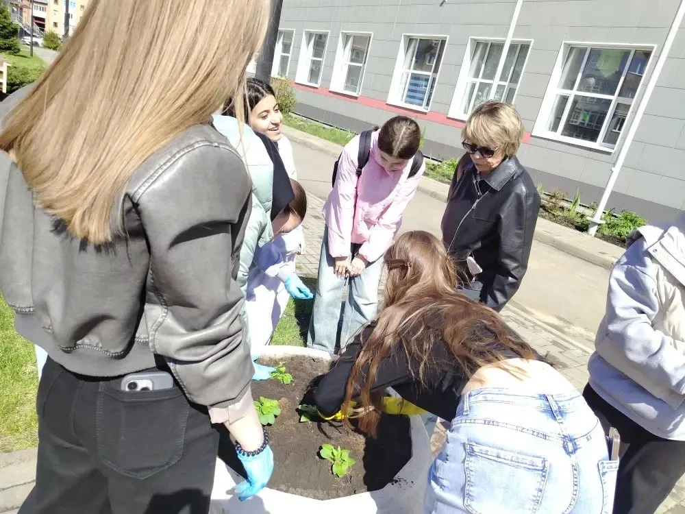 🌷 Сегодня наши учащиеся и педагоги дружно взялись за дело — высадили первые цветы на школьном дворе!